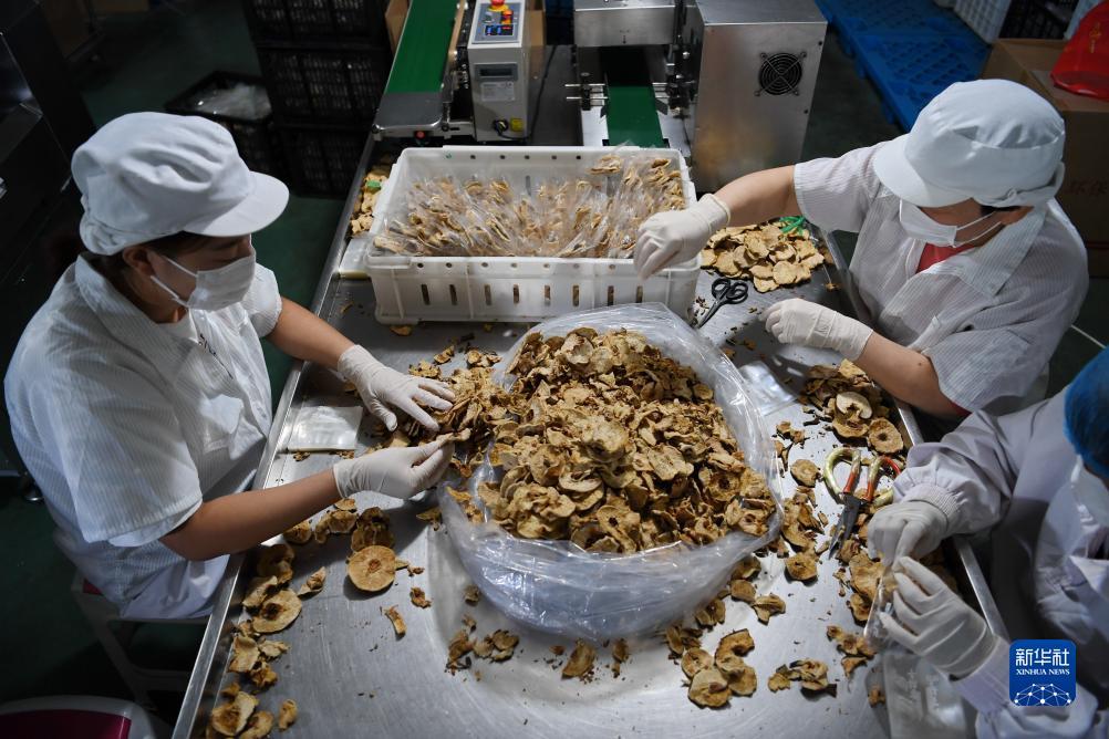 宝马线上线路检测